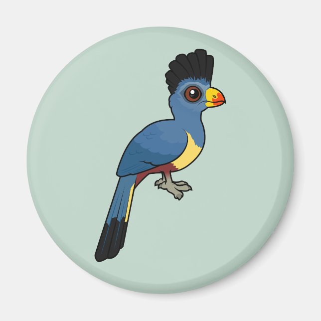 Imã Excelente azul Turaco (Frente)