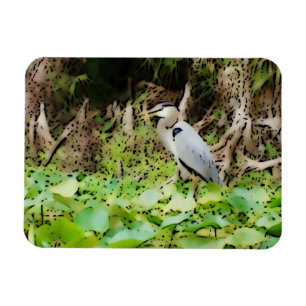 Ímã Excelente Blue Heron