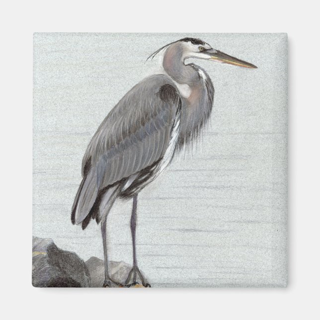 Imã Excelente Blue Heron (Frente)