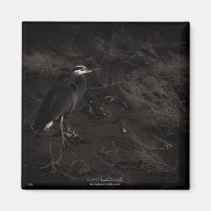 Imã Excelente Blue Heron P2391