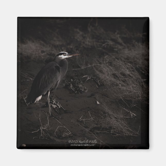 Imã Excelente Blue Heron P2391 (Frente)