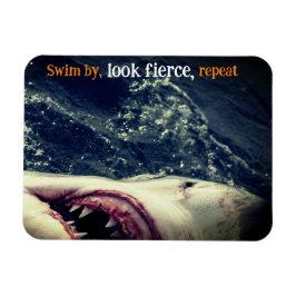 Ímã Excelente de mandíbulas brancas de tubarão