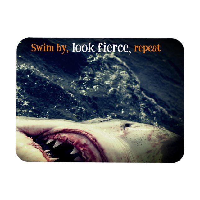 Ímã Excelente de mandíbulas brancas de tubarão (Horizontal)