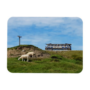 Ímã Excelente Llandudno