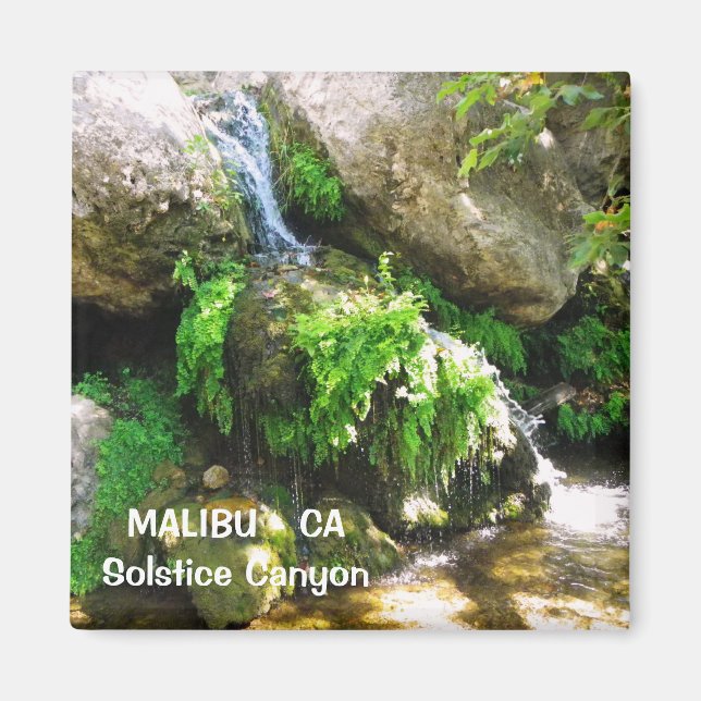 Imã Excelente Malibu Magnet! (Frente)