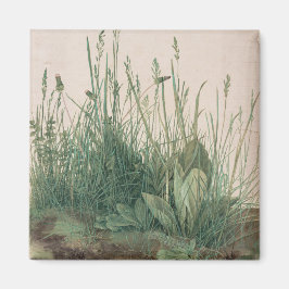 Imã Excelente Peça de Turf (por Albrecht Dürer)