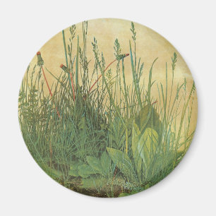 Imã Excelente Peça de Turf por Albrecht Durer, Vintage