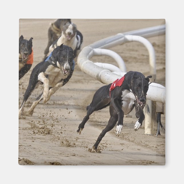 Imã Executar até a linha (Frente)