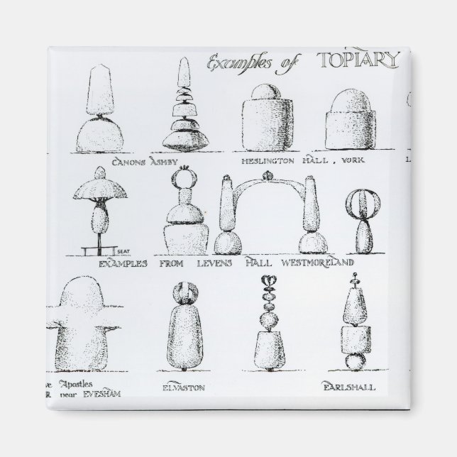 Imã Exemplos de trabalhos de Topiary, 1902 (gravura) ( (Frente)