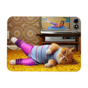 Ímã Exercício de gatos