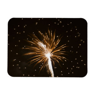 Ímã Exibição de fogos de artifício no rio Savannah