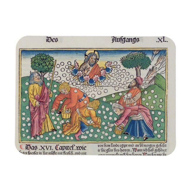Ímã Êxodo 16 13-22 Deus fornece codorniz e manna ao (Horizontal)