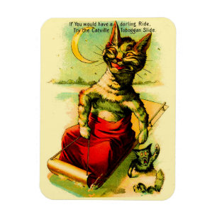 Ímã Experimente o Slide Toboggan Catville