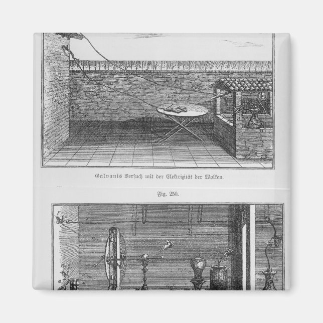 Imã Experimento com sapos de Louis Galvani (Frente)