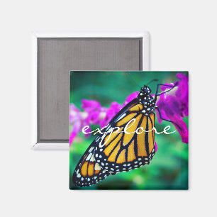 Imã "Explorar" citação foto de borboleta laranja mon
