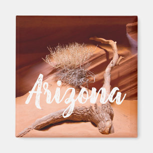 Imã Explore a Arizona