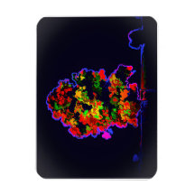 Explosão de árvore neon