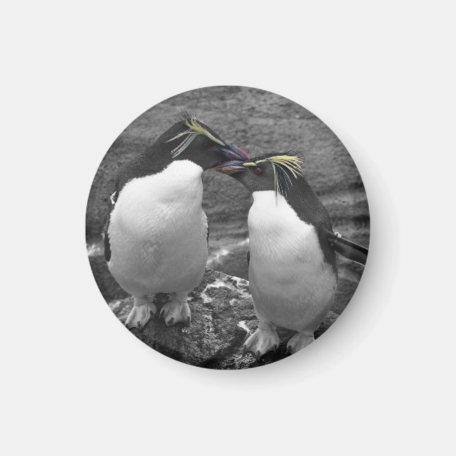 Imã Explosão de Cor de Pinguim (Frente)
