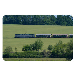 Ímã Express Reblaus