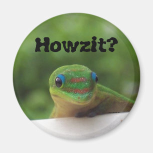 Imã Expressões Howzit do calão