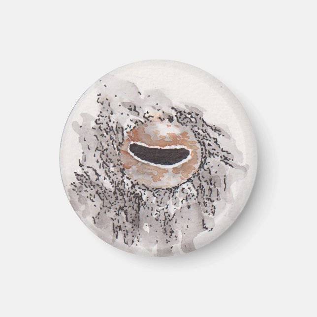 Imã Eye of the octopus – Gaze Collection (Frente)