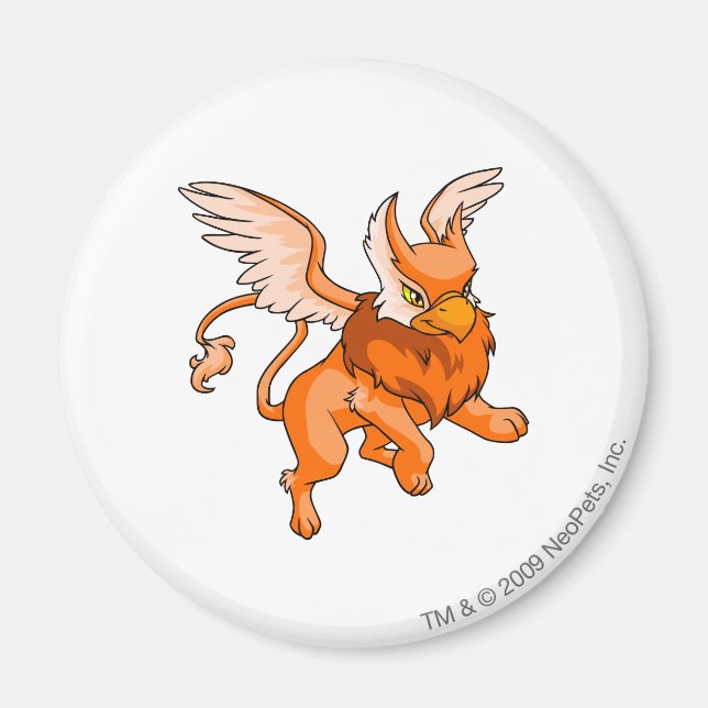 Imã Eyrie Orange (Frente)