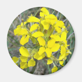 Imã F14 Flores Amarelas