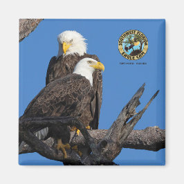 Imã F23 e M15 - Uma nova era no ninho