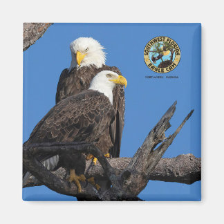 Imã F23 e M15 - Uma nova era no ninho