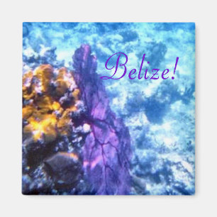 Imã Fã de mar de Belize