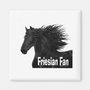 Imã Fã do frisão