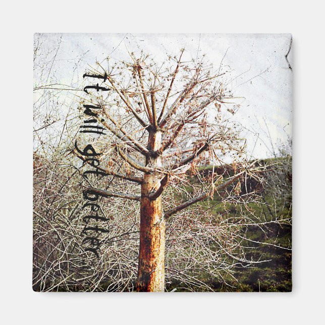 Imã Fábrica de Ferula Seca (Frente)