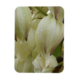 Ímã Fábrica de Yucca
