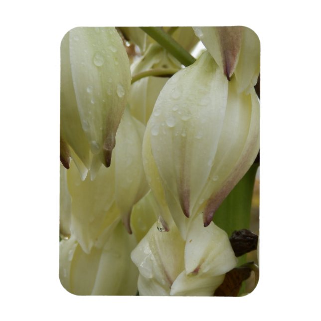 Ímã Fábrica de Yucca (Vertical)