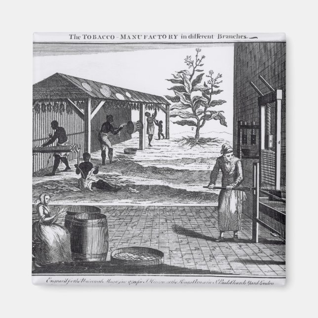 Imã Fabricante de cigarro em diferentes ramos (Frente)