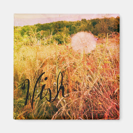 Imã Faça um desejo