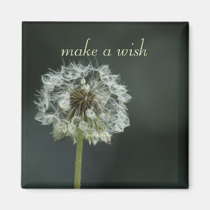 Imã faça um desejo