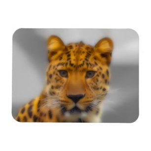 Ímã Face Leopardo