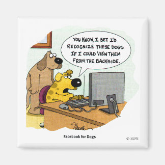Imã Facebook para Cães