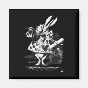 Imã Fácil Fantasia Alice no País das Maravilhas - Coel