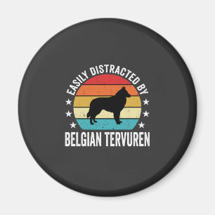 Imã Facilmente Distraído Pelo Cão Tervuren Belga