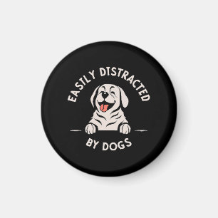Imã Facilmente distraído por cães