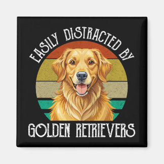 Imã Facilmente Distraído Por Golden Retrievers