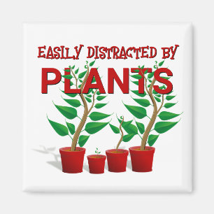 IMÃ FACILMENTE DISTRAÍDO POR PLANTAS