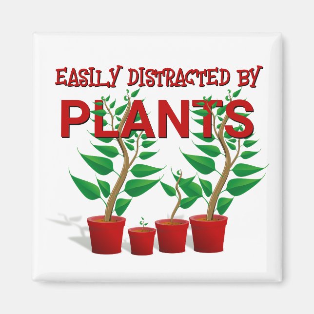 IMÃ FACILMENTE DISTRAÍDO POR PLANTAS (Frente)