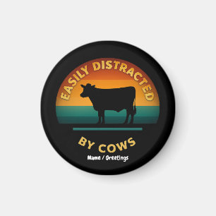 Imã Facilmente Distraído Por Vacas Engraçadas Com Pres