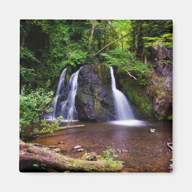 Imã Fairy Glen waterfall, Rosemarkie, Scotland Magnet (Frente)
