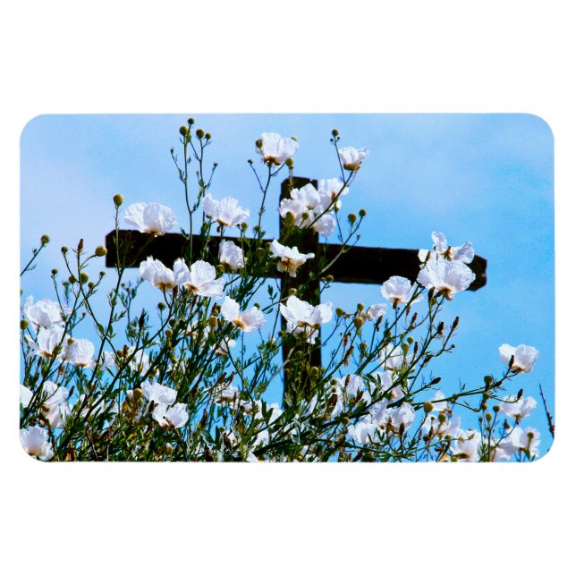 Ímã FAITH Flexible Magnet (Horizontal)