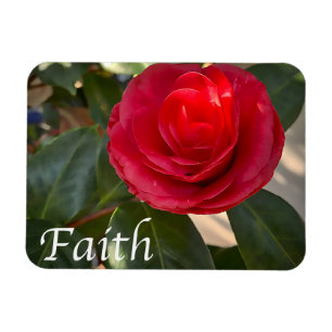 Ímã Faith - Red Camellia Bloom