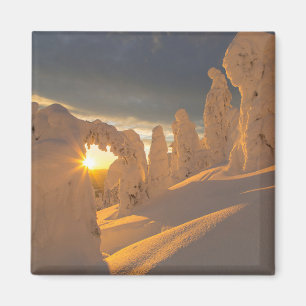 Imã Faixa Whitefish Whitefish, Montana